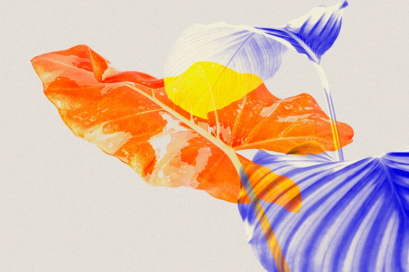 The Power of Branding: How Strong Brand Identity Drives Business Success